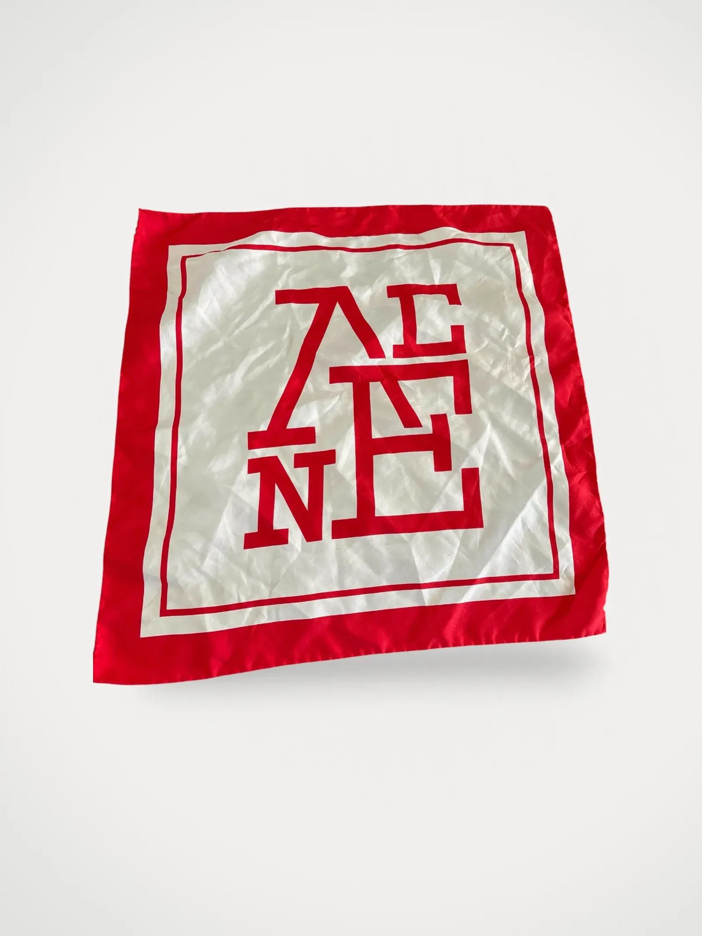 Acne Studios Schal