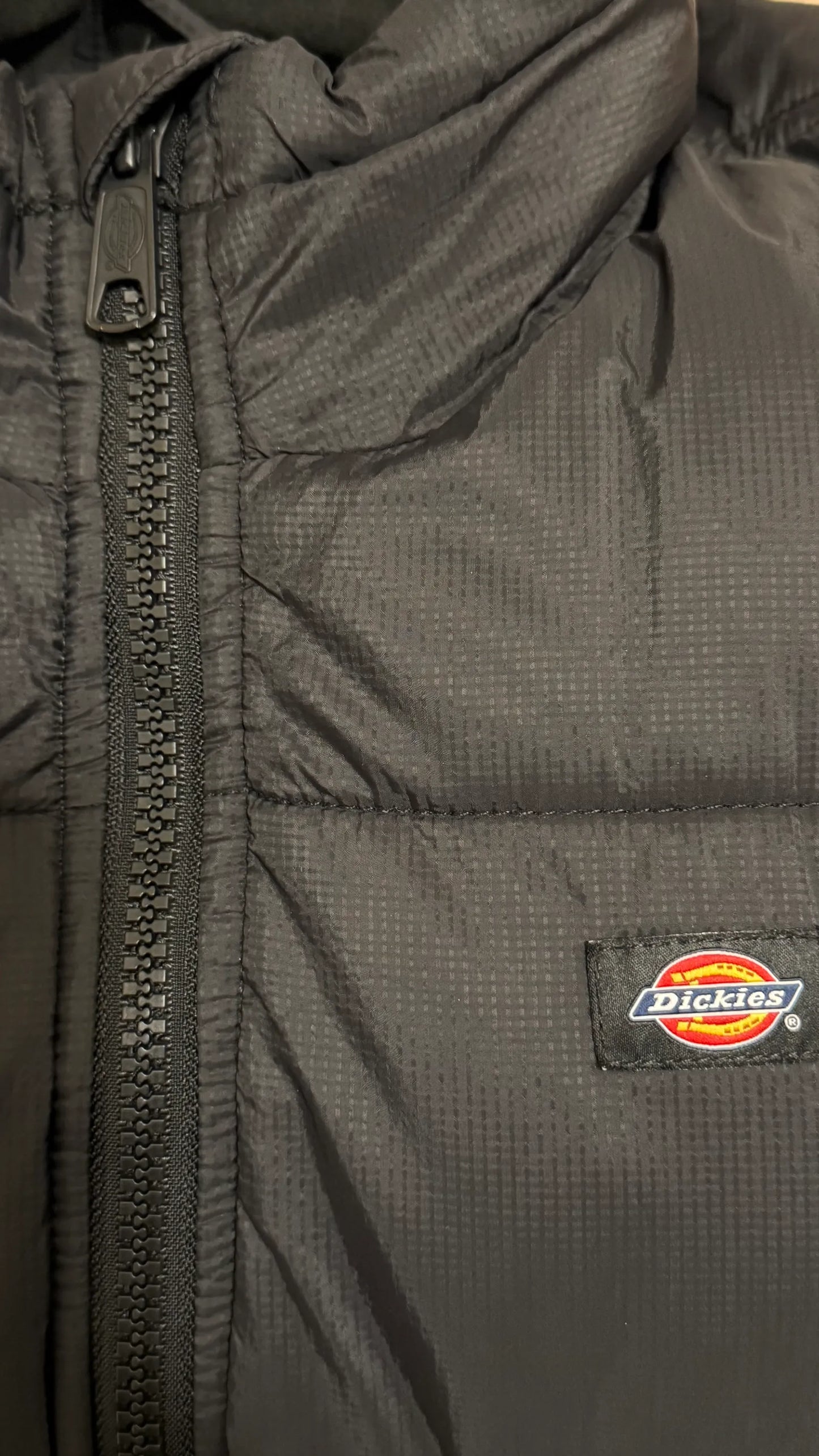 Dickies Jacke