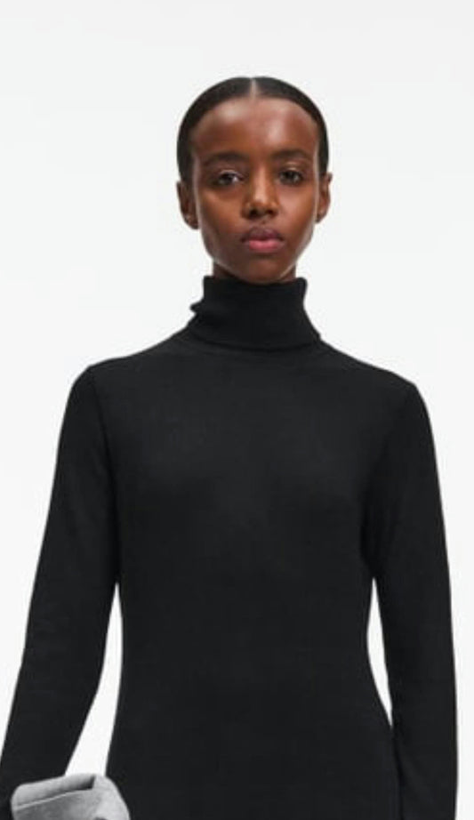 A Day's March Marlin Merino Turtleneck Turtleneck